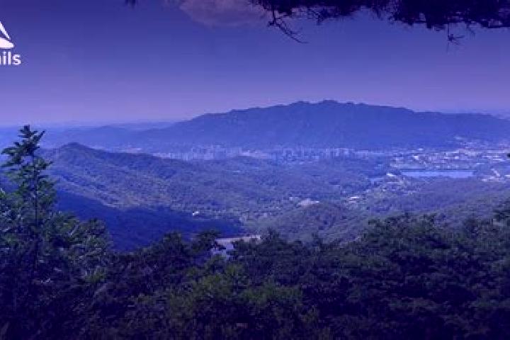 Hannah, 38 — Escort in Uiwang, South Korea