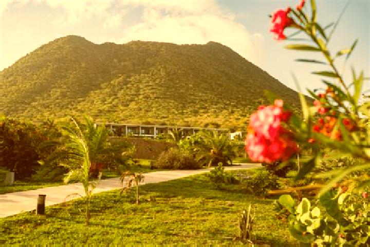 Hannah, 39 — Escort in Golden Rock, Bonaire