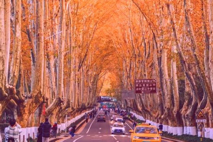 Hannah, 39 — Escort in Linyuan, China