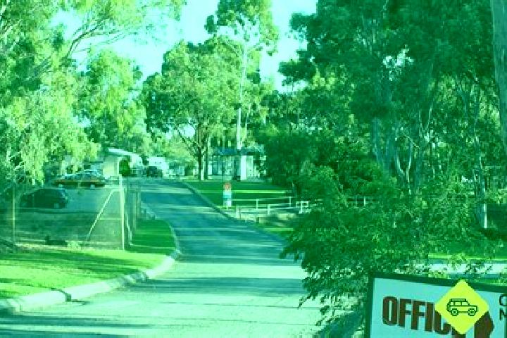 Hannah, 39 — Escort in Woodcroft, Australia