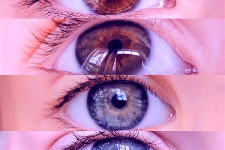 Harper, 20, a chestnut grey-eyed middle eastern companion based in Protivin. Offering CIM, OWO, Duos. Available for incall and outcall, day and evening dates.