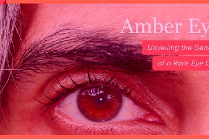 Harper, 20, a red amber-eyed caucasian companion based in Guayape. Offering Striptease, Fetish, Domination. Available for incall and outcall, overnight booki...