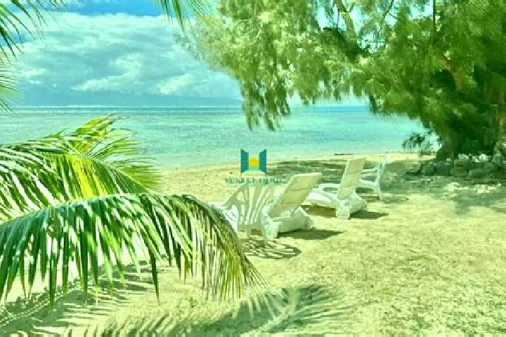 Harper, 20 — Escort in Afareaitu, French Polynesia