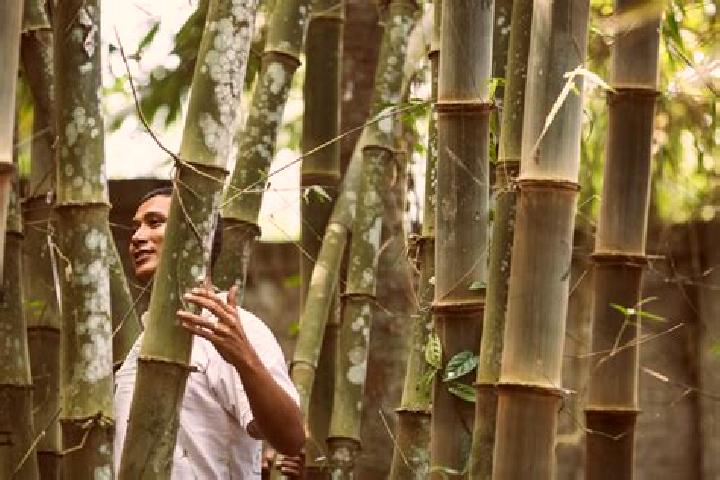 Harper, 20 — Escort in Bamboo Flat, India