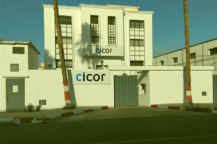 Harper, 20 — Escort in Berrechid, Morocco