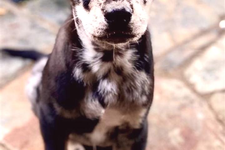 Harper, 20 — Escort in Catahoula, United States