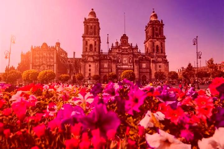 Harper, 20 — Escort in Ciudad de Armeria, Mexico