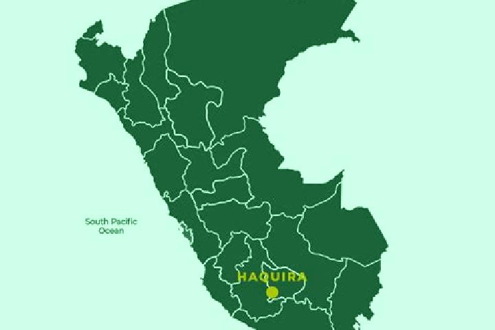 Harper, 20 — Escort in Haquira, Peru