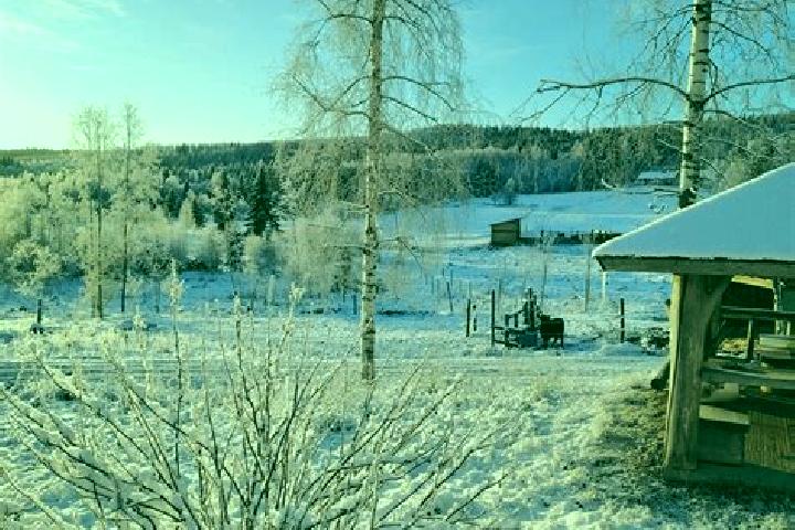Harper, 20 — Escort in Kemijaervi, Finland