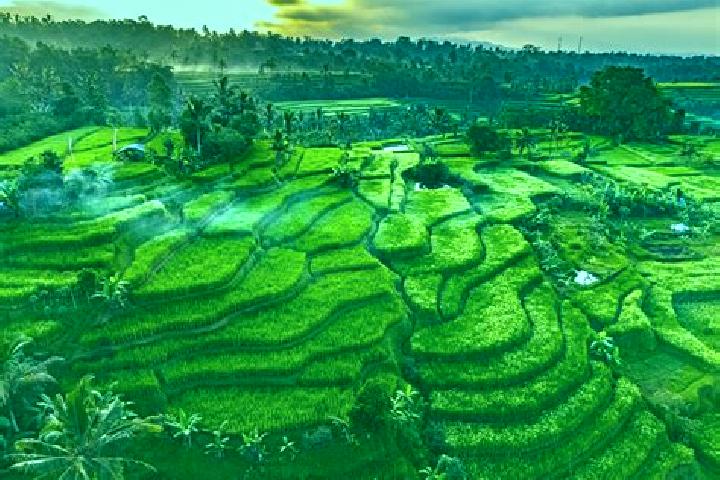 Harper, 20 — Escort in Penebel, Indonesia