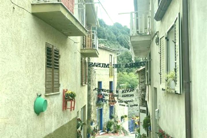 Harper, 20 — Escort in Tonara, Italy