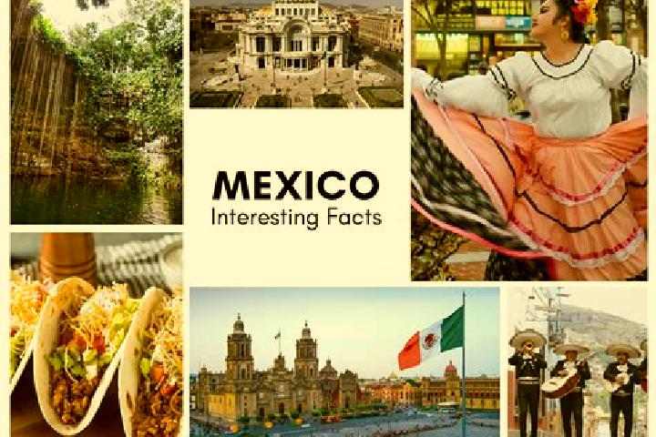Harper, 20 — Escort in Velasco, Mexico