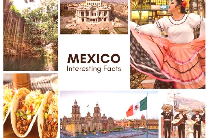 Harper, 21 — Escort in Cuaracurio, Mexico