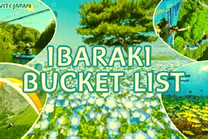 Harper, 21 — Escort in Ibaraki, Japan