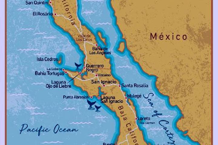 Harper, 21 — Escort in Manzana Sexta Parte Baja, Mexico