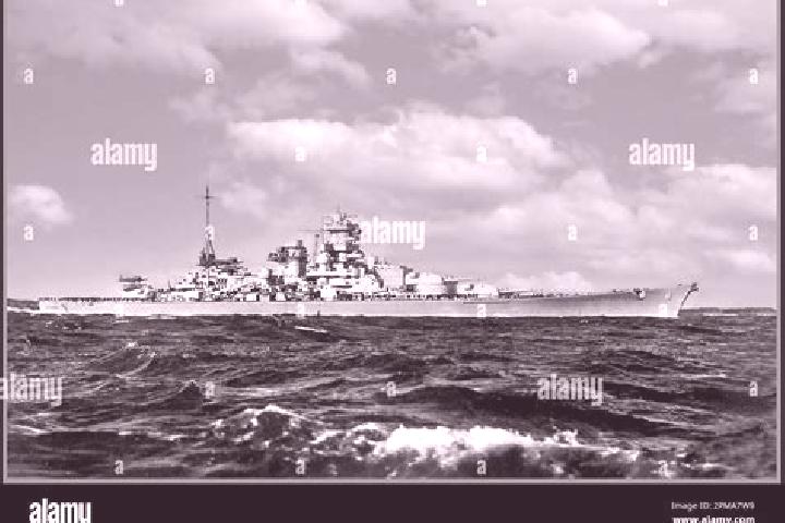 Harper, 21 — Escort in Scharnhorst-Ost, Germany