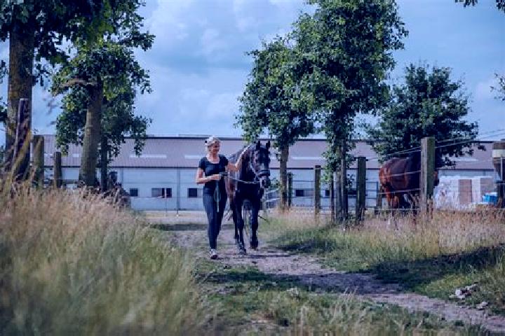 Harper, 21 — Escort in Soestdijk, Netherlands