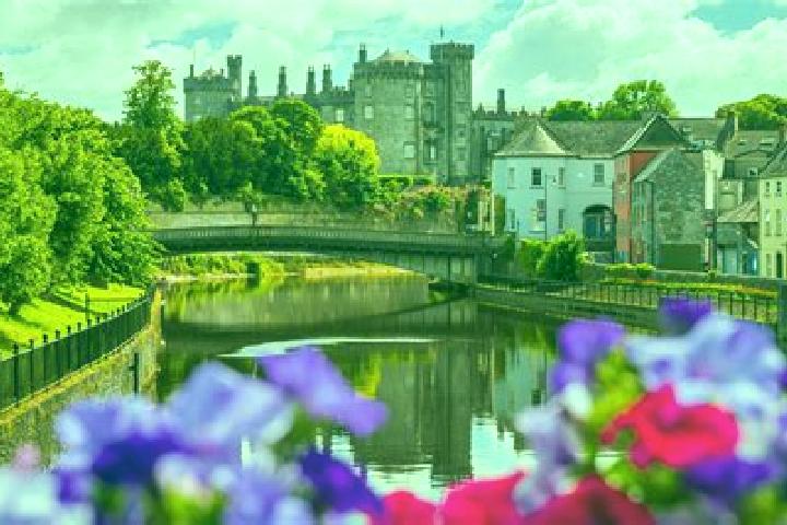 Harper, 21 — Escort in Thomastown, Ireland