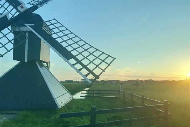 Harper, 21 — Escort in Zuidschermer, Netherlands