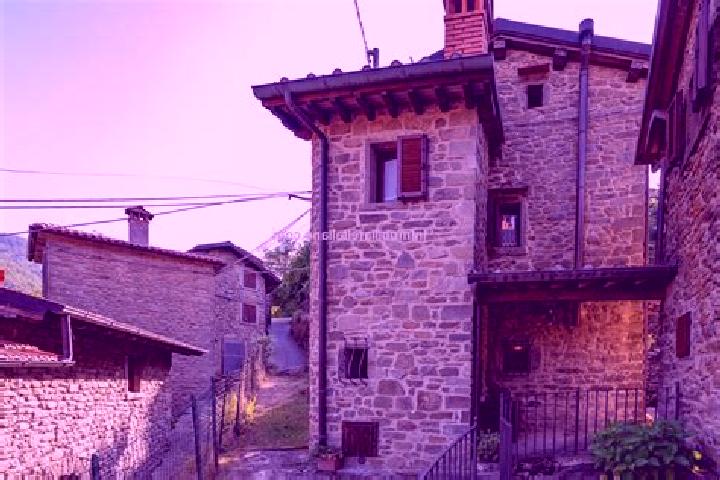 Harper, 22 — Escort in Bibbiena, Italy
