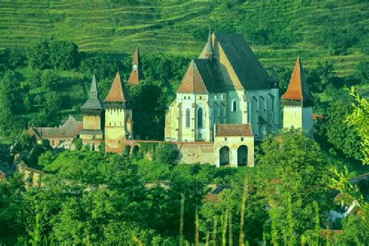 Harper, 22 — Escort in Biertan, Romania