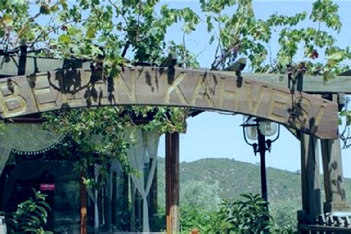 Harper, 22 — Escort in Caybuekue, Turkey