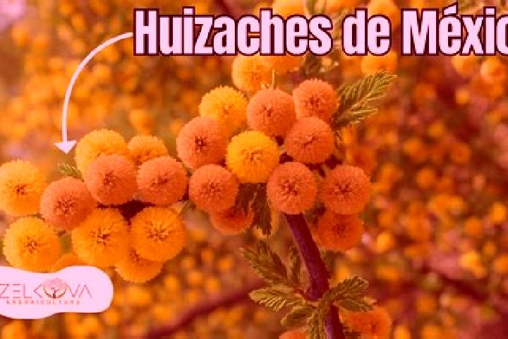 Harper, 22 — Escort in Entronque de Matehuala (El Huizache), Mexico