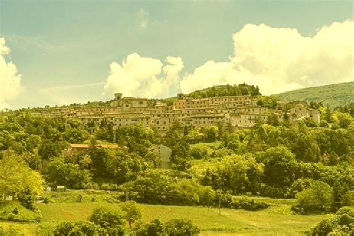 Harper, 22 — Escort in Fossato di Vico, Italy