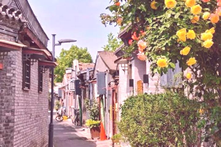 Harper, 22 — Escort in Huayuan, China