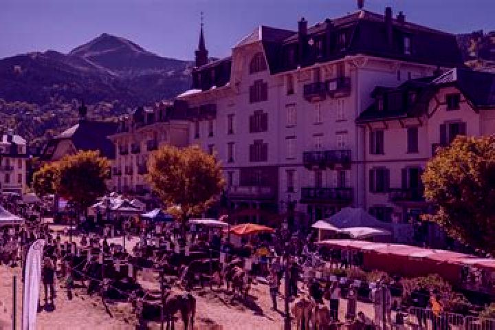 Harper, 22 — Escort in Saint-Servais, France