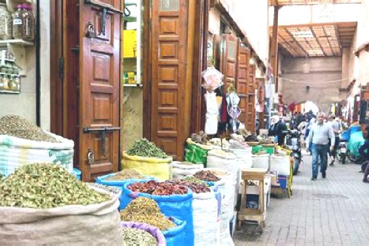 Harper, 22 — Escort in Souk et Tnine Jorf el Mellah, Morocco
