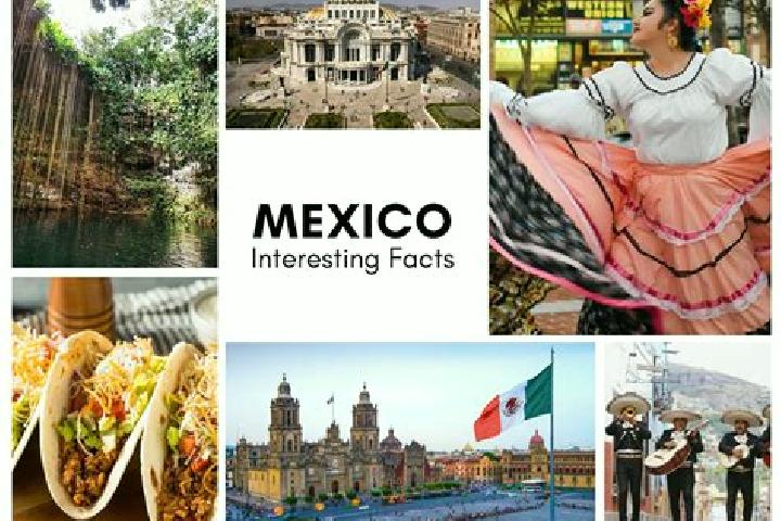 Harper, 22 — Escort in Tepetlan, Mexico