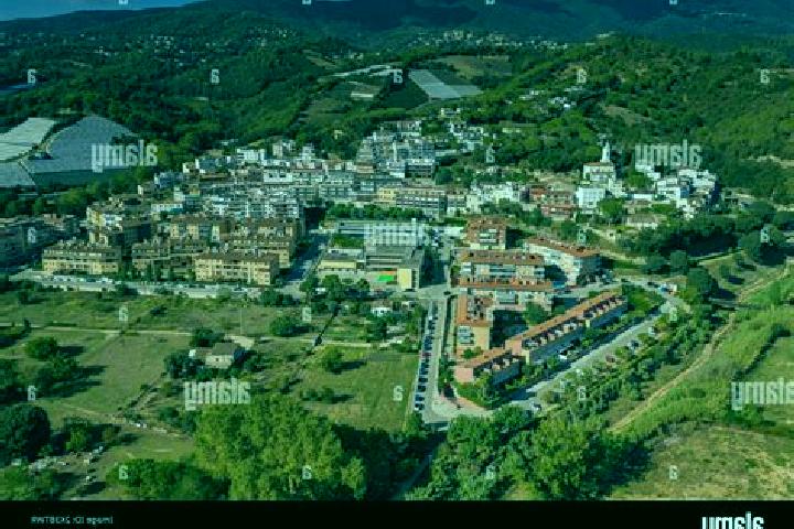 Harper, 22 — Escort in Vall Alta, Italy