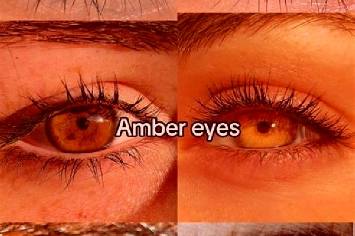 Harper, 23, a chestnut amber-eyed caucasian companion based in Kyon Kan. Offering A-Level, Domination. Available for incall and outcall, day and evening dates.