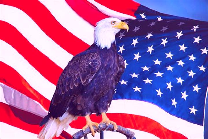 Harper, 23 — Escort in Black Eagle, United States