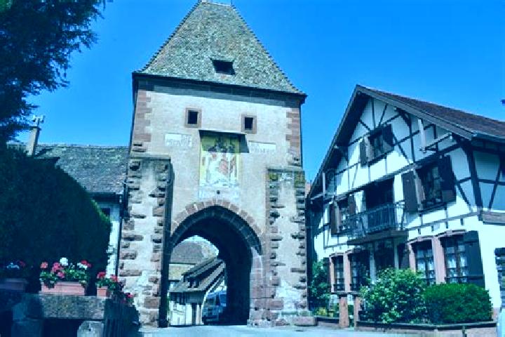 Harper, 23 — Escort in Boersch, France