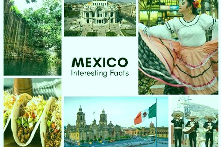 Harper, 23 — Escort in Choipa, Mexico