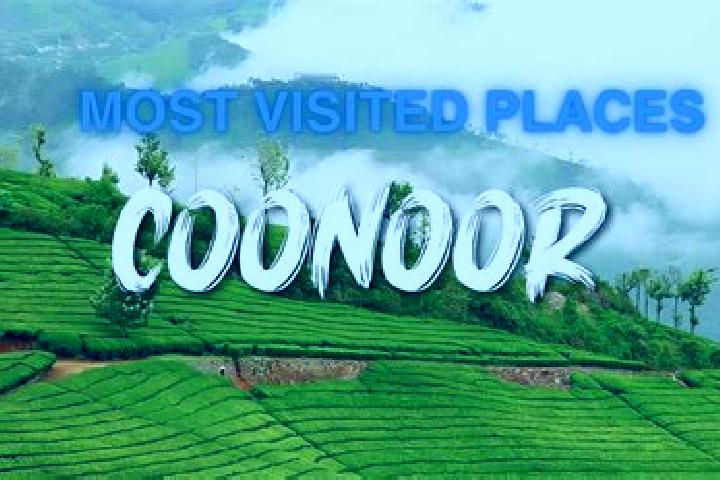 Harper, 23 — Escort in Coonoor, India