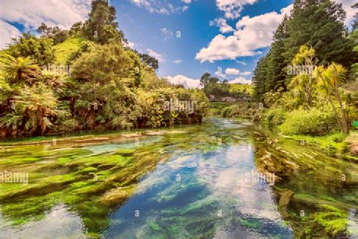 Harper, 23 — Escort in Kihikihi, New Zealand