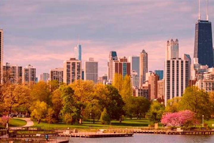 Harper, 23 — Escort in Lincoln Park, United States