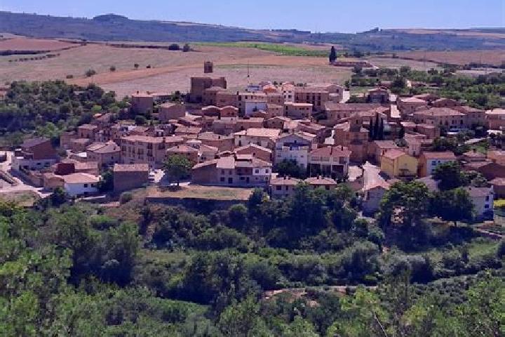 Harper, 23 — Escort in Martin del Rio, Spain