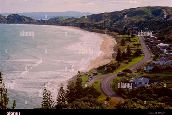 Harper, 23 — Escort in Wainui, New Zealand