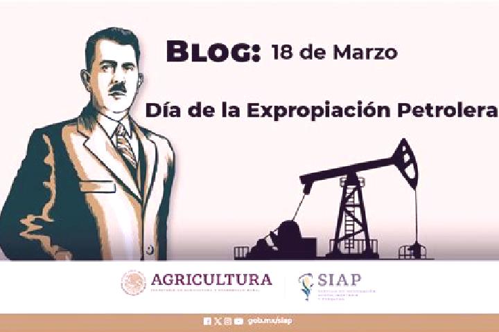 Harper, 24 — Escort in 18 de Marzo, Mexico