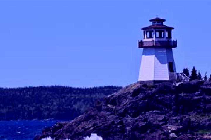 Harper, 24 — Escort in Clarenville-Shoal Harbour, Canada