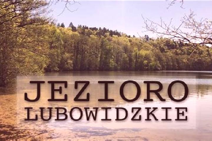 Harper, 24 — Escort in Lubowidz, Poland