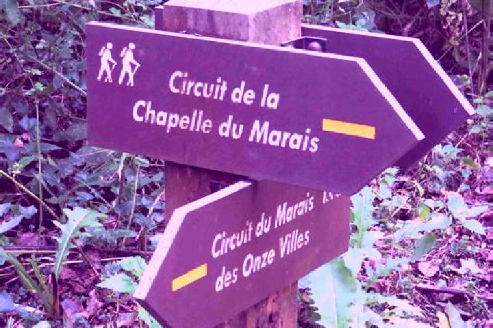 Harper, 24 — Escort in Marquette-en-Ostrevant, France