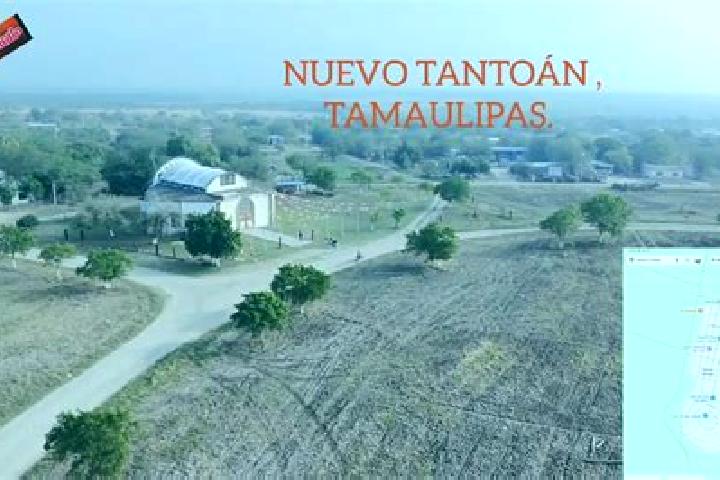 Harper, 24 — Escort in Nuevo Tantoan, Mexico