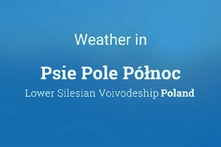 Harper, 24 — Escort in Psie Pole Polnoc, Poland