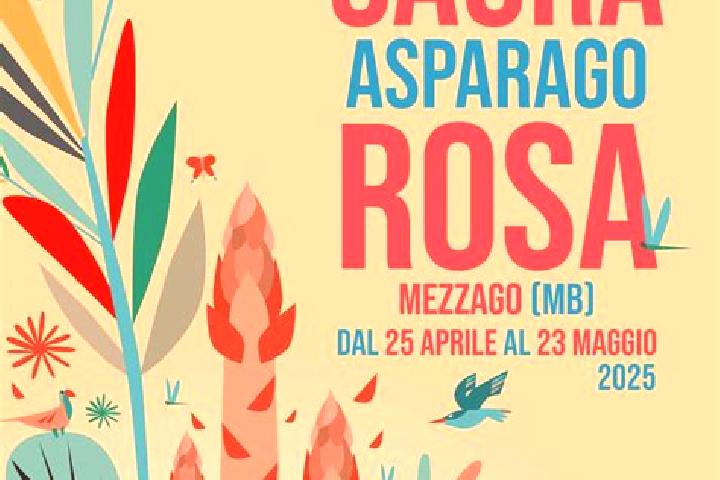 Harper, 24 — Escort in San Ponso, Italy