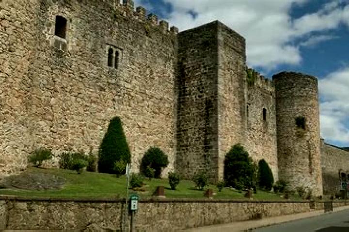 Harper, 24 — Escort in Torre Val de San Pedro, Spain